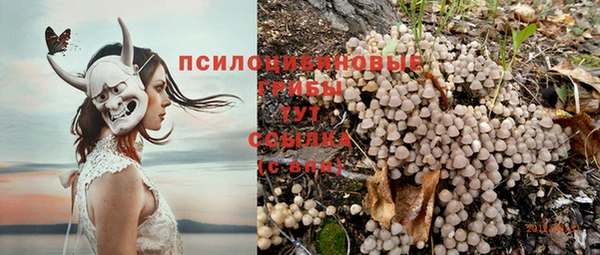 дурь Бугульма