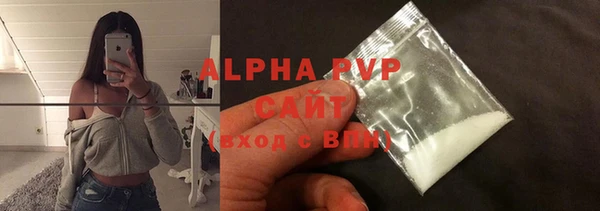 амф Бородино