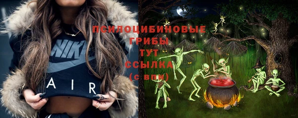 прущие грибы Богородицк