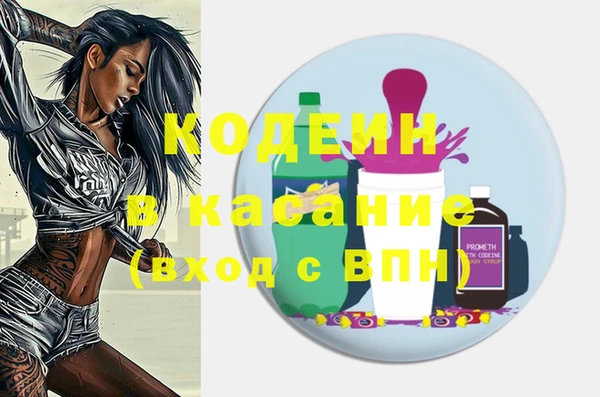 амф Бородино