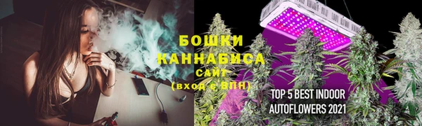 стаф Бронницы