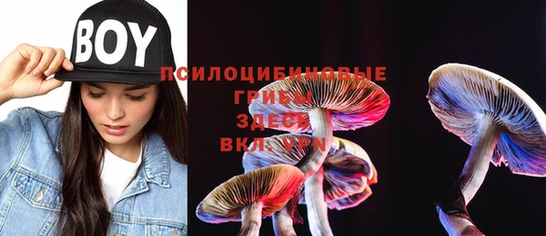 стаф Бронницы
