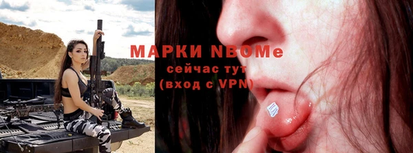 амф Бородино